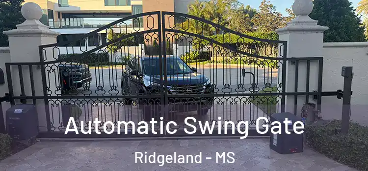  Automatic Swing Gate Ridgeland - MS