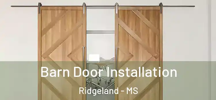  Barn Door Installation Ridgeland - MS