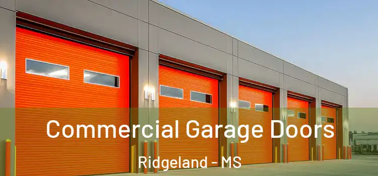 Commercial Garage Doors Ridgeland - MS