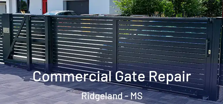 Commercial Gate Repair Ridgeland - MS