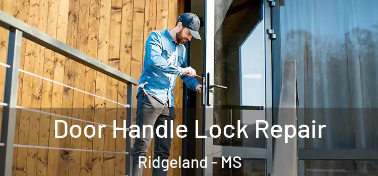 Door Handle Lock Repair Ridgeland - MS