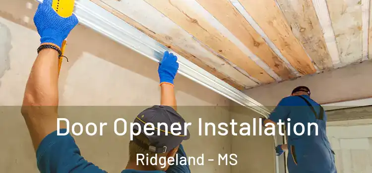  Door Opener Installation Ridgeland - MS