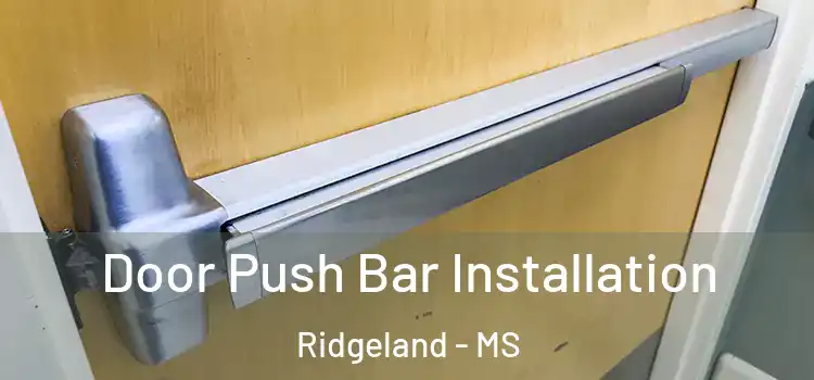  Door Push Bar Installation Ridgeland - MS