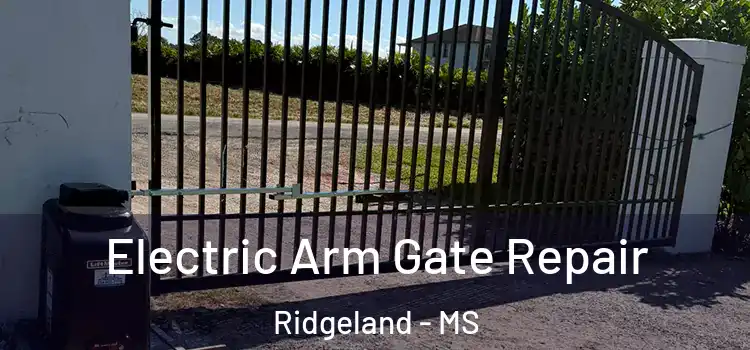Electric Arm Gate Repair Ridgeland - MS