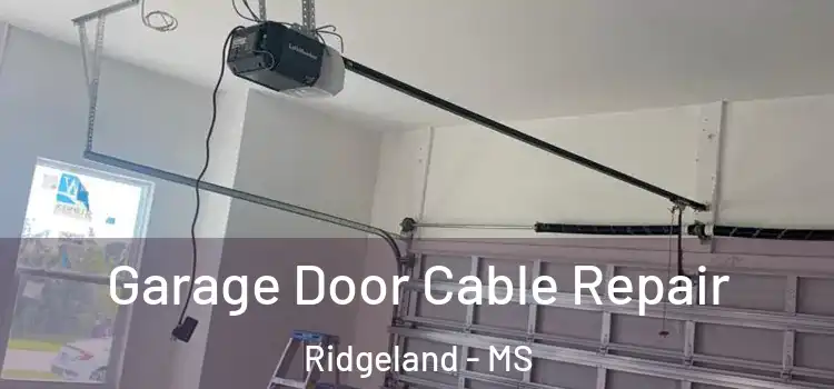  Garage Door Cable Repair Ridgeland - MS