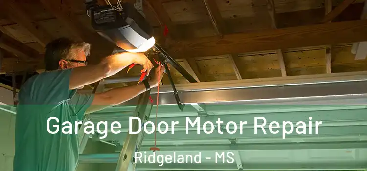  Garage Door Motor Repair Ridgeland - MS