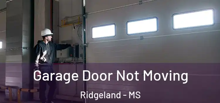  Garage Door Not Moving Ridgeland - MS