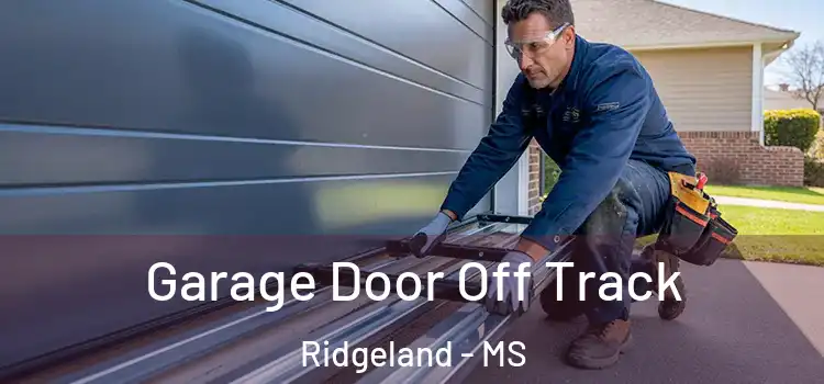  Garage Door Off Track Ridgeland - MS