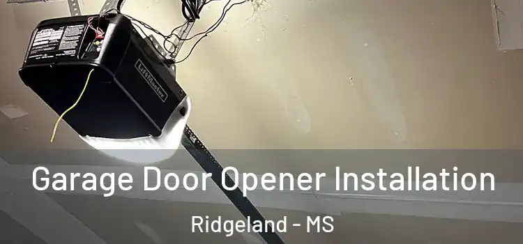  Garage Door Opener Installation Ridgeland - MS