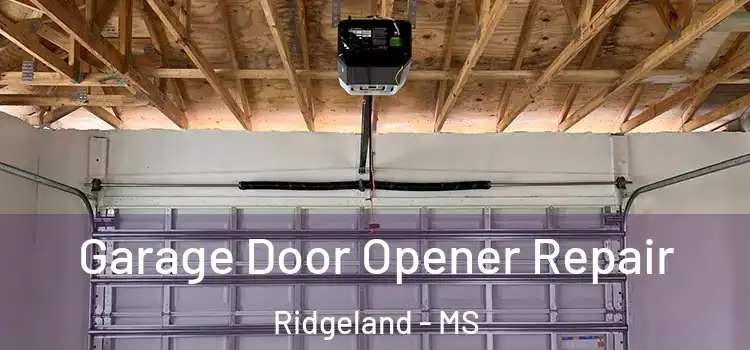  Garage Door Opener Repair Ridgeland - MS