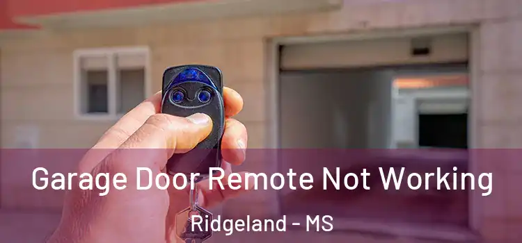  Garage Door Remote Not Working Ridgeland - MS