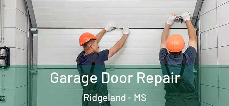  Garage Door Repair Ridgeland - MS