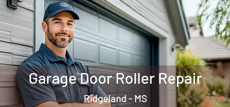  Garage Door Roller Repair Ridgeland - MS