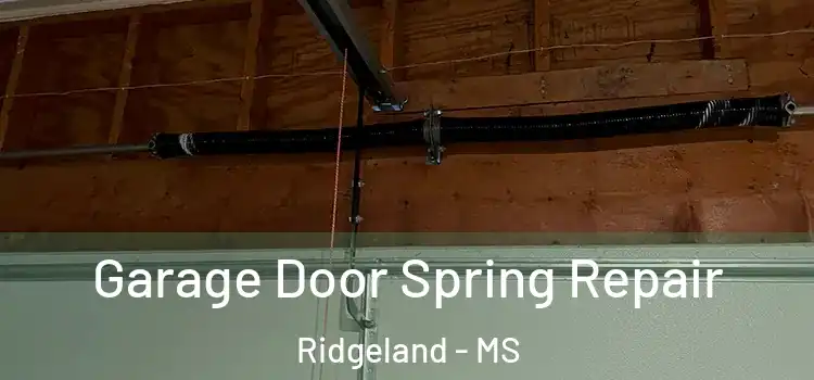  Garage Door Spring Repair Ridgeland - MS