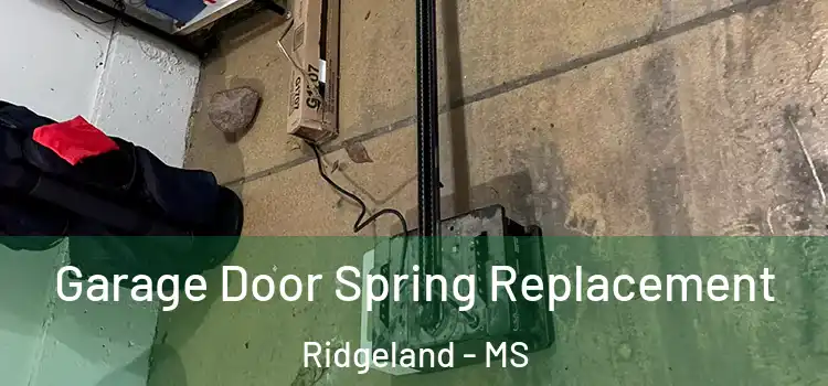  Garage Door Spring Replacement Ridgeland - MS