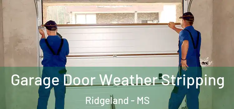  Garage Door Weather Stripping Ridgeland - MS
