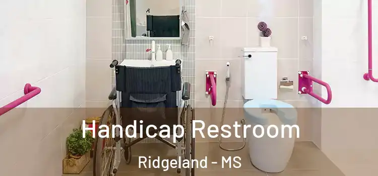  Handicap Restroom Ridgeland - MS