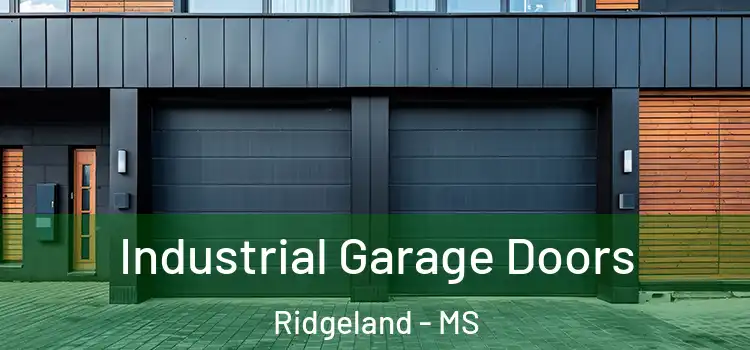  Industrial Garage Doors Ridgeland - MS