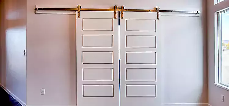 Glass Barn Door with Installation Hardware Kit Ridgeland