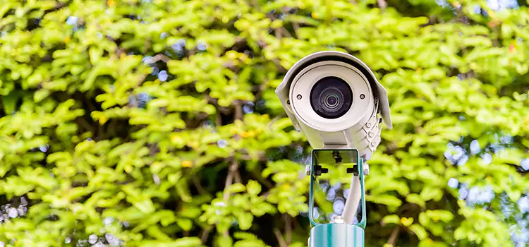 Advanced Surveillance Solutions for Every Need in Ridgeland