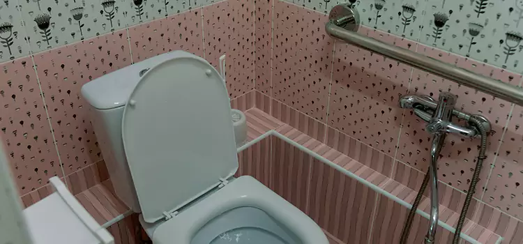 Meeting Diverse Needs With Accessible Restroom Solutions in Ridgeland, MS