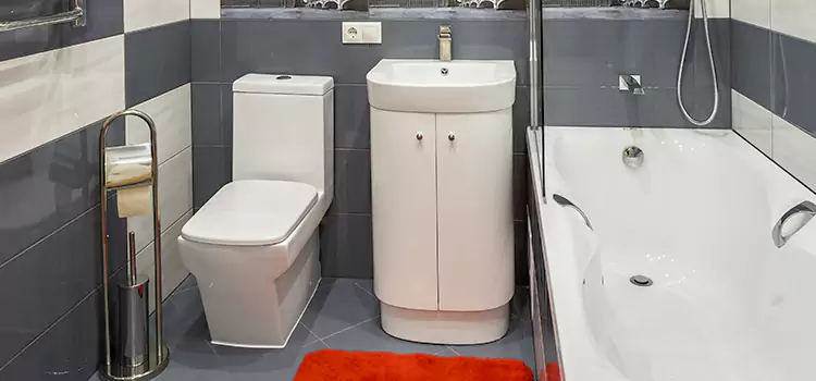 Hansgrohe Shaving Mirror Ridgeland