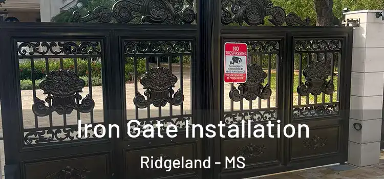  Iron Gate Installation Ridgeland - MS