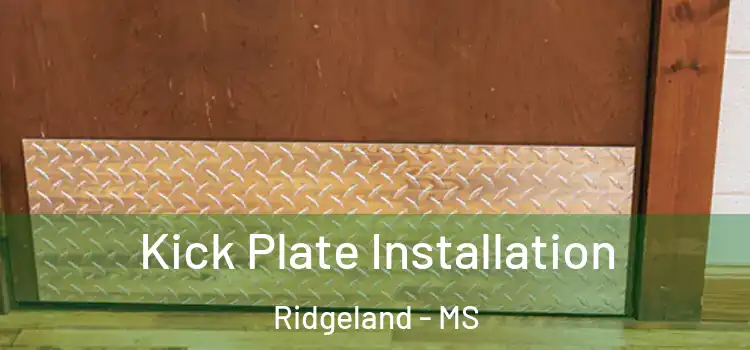  Kick Plate Installation Ridgeland - MS