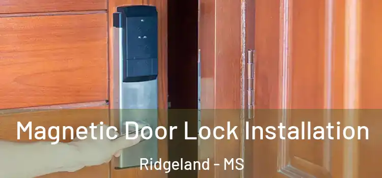  Magnetic Door Lock Installation Ridgeland - MS
