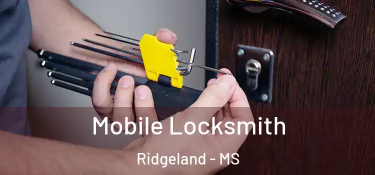  Mobile Locksmith Ridgeland - MS