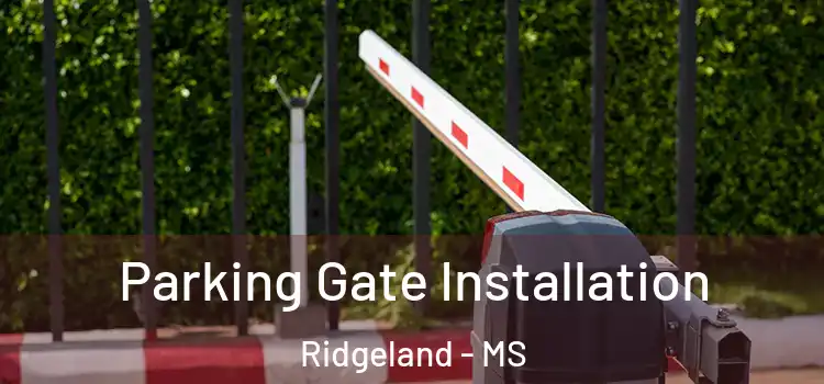  Parking Gate Installation Ridgeland - MS