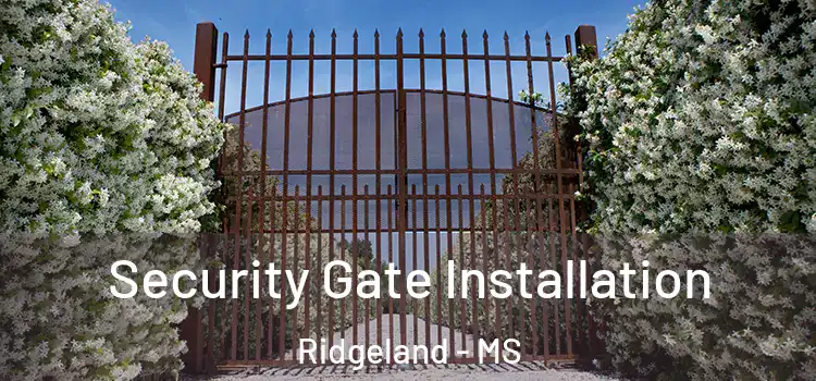  Security Gate Installation Ridgeland - MS