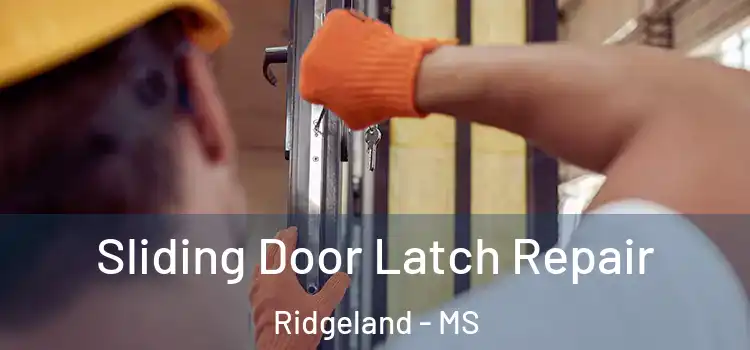  Sliding Door Latch Repair Ridgeland - MS
