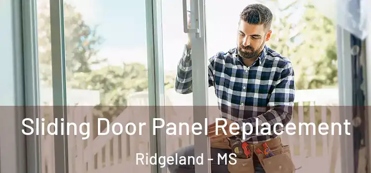  Sliding Door Panel Replacement Ridgeland - MS