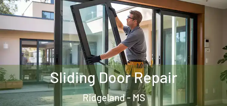 Sliding Door Repair Ridgeland - MS