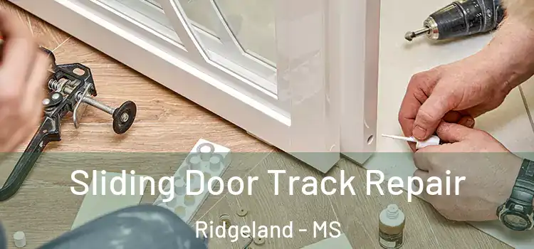 Sliding Door Track Repair Ridgeland - MS