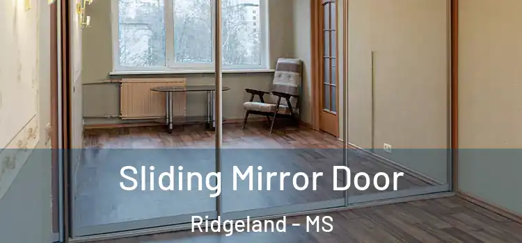  Sliding Mirror Door Ridgeland - MS