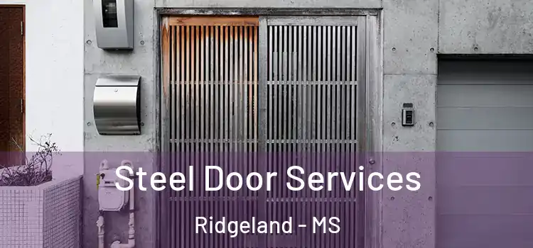 Steel Door Services Ridgeland - MS