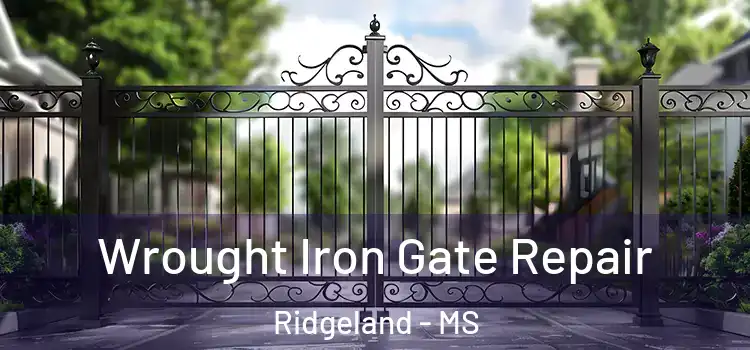 Wrought Iron Gate Repair Ridgeland - MS